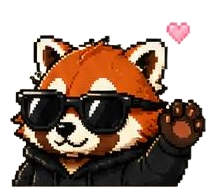 Panda Night